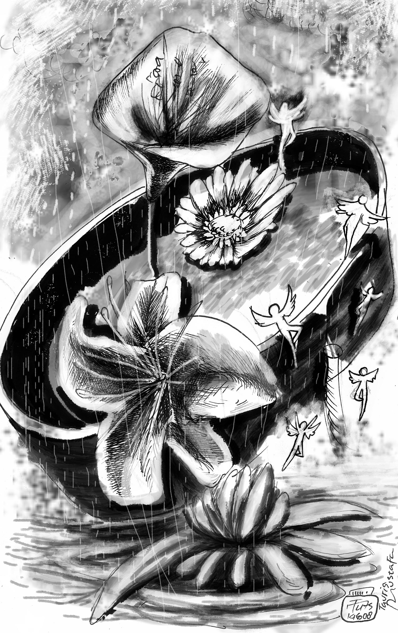 6 Gambar Bunga Mawar Cantik Cocok Wallpaper Animasi Kartun Top